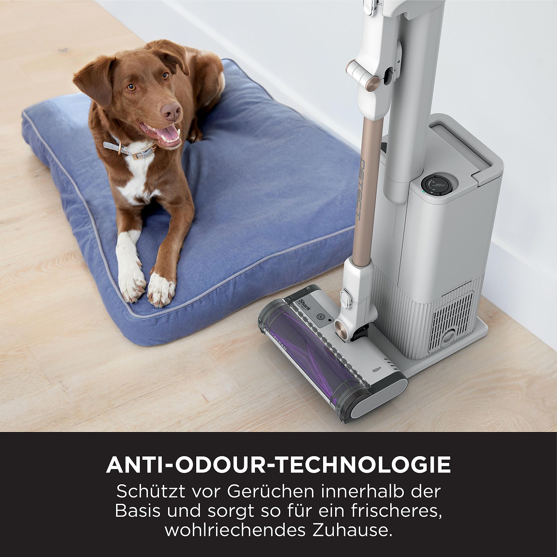 SHARK IW3612EU Detect Pro Stielsauger, Akkubetrieb, 240 Watt