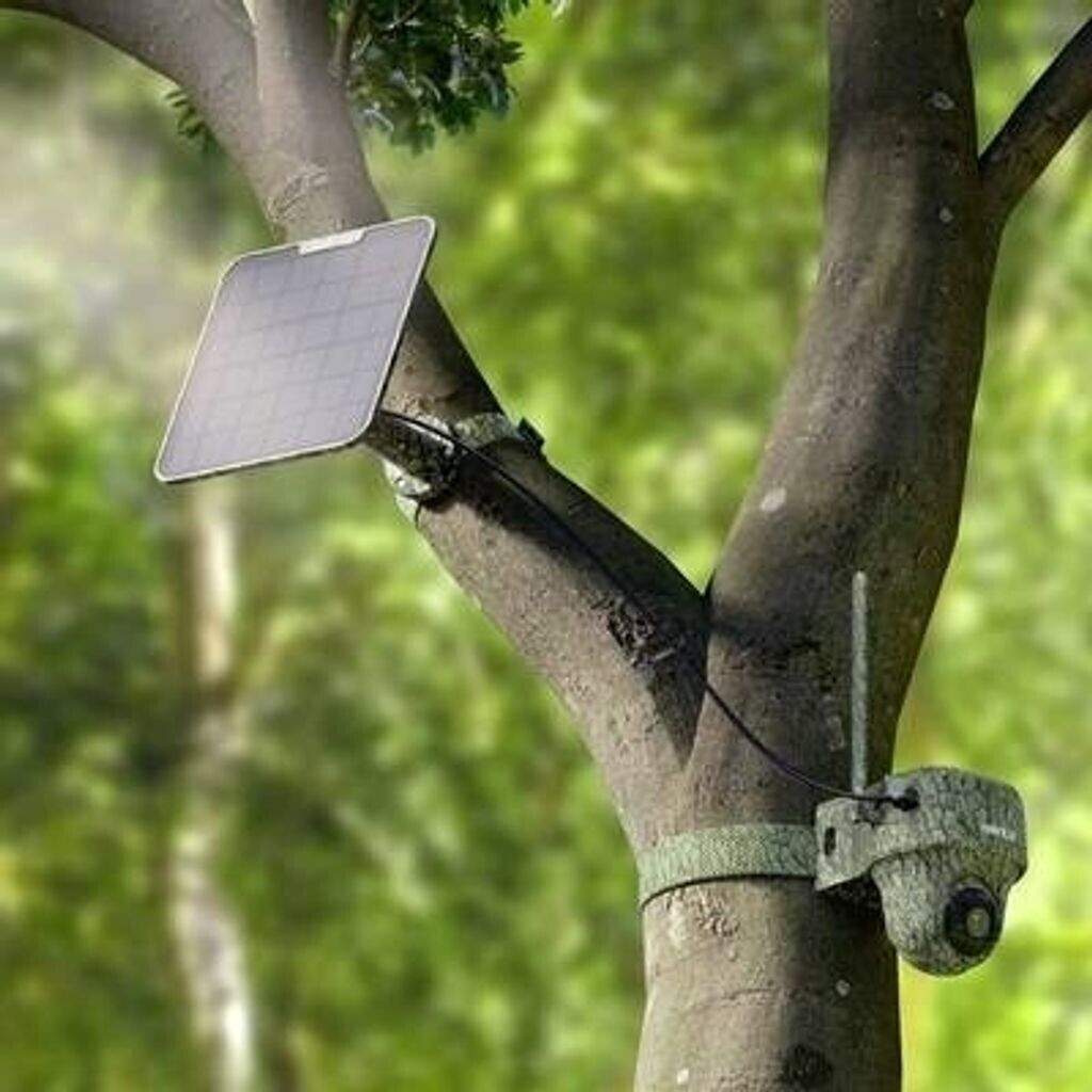 reolink Go Series G450 inkl Solar Panel