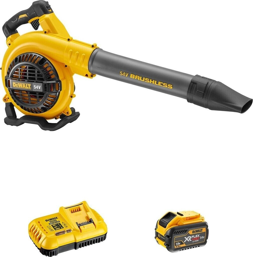 DeWalt DCM572X1-QW
