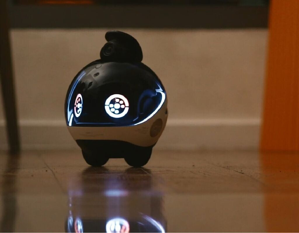Enabot EBO X Überwachungsroboter (3840 x 2160 Pixels) Netzwerkkamera Schwarz Silber