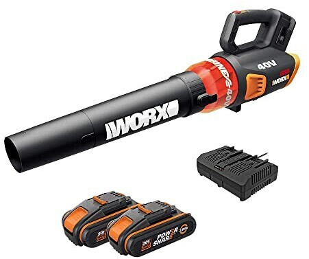 Worx WG584E (mit Akku und Ladegerät)