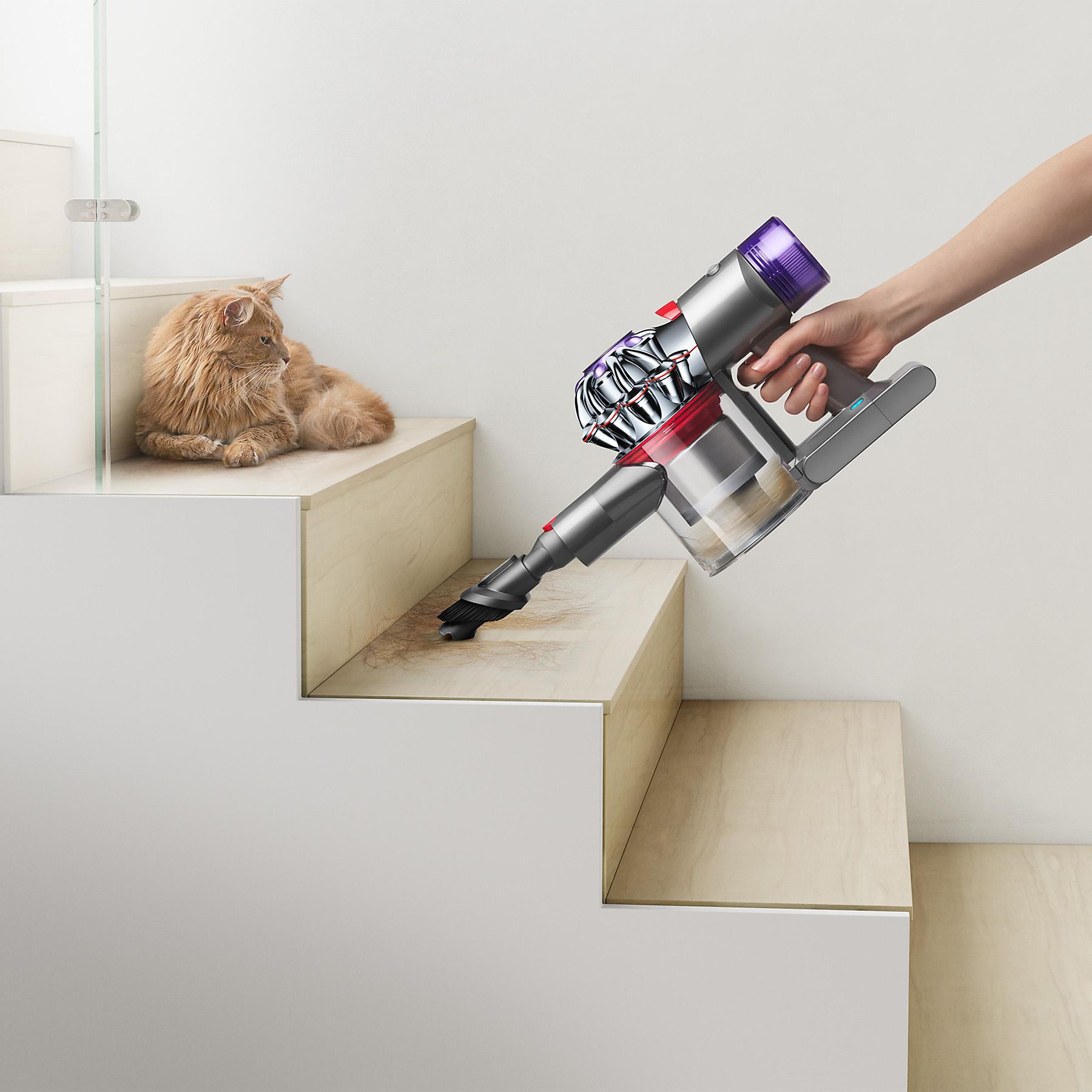 DYSON V8 Absolute (2022) Stielsauger, Akkubetrieb, 425 Watt