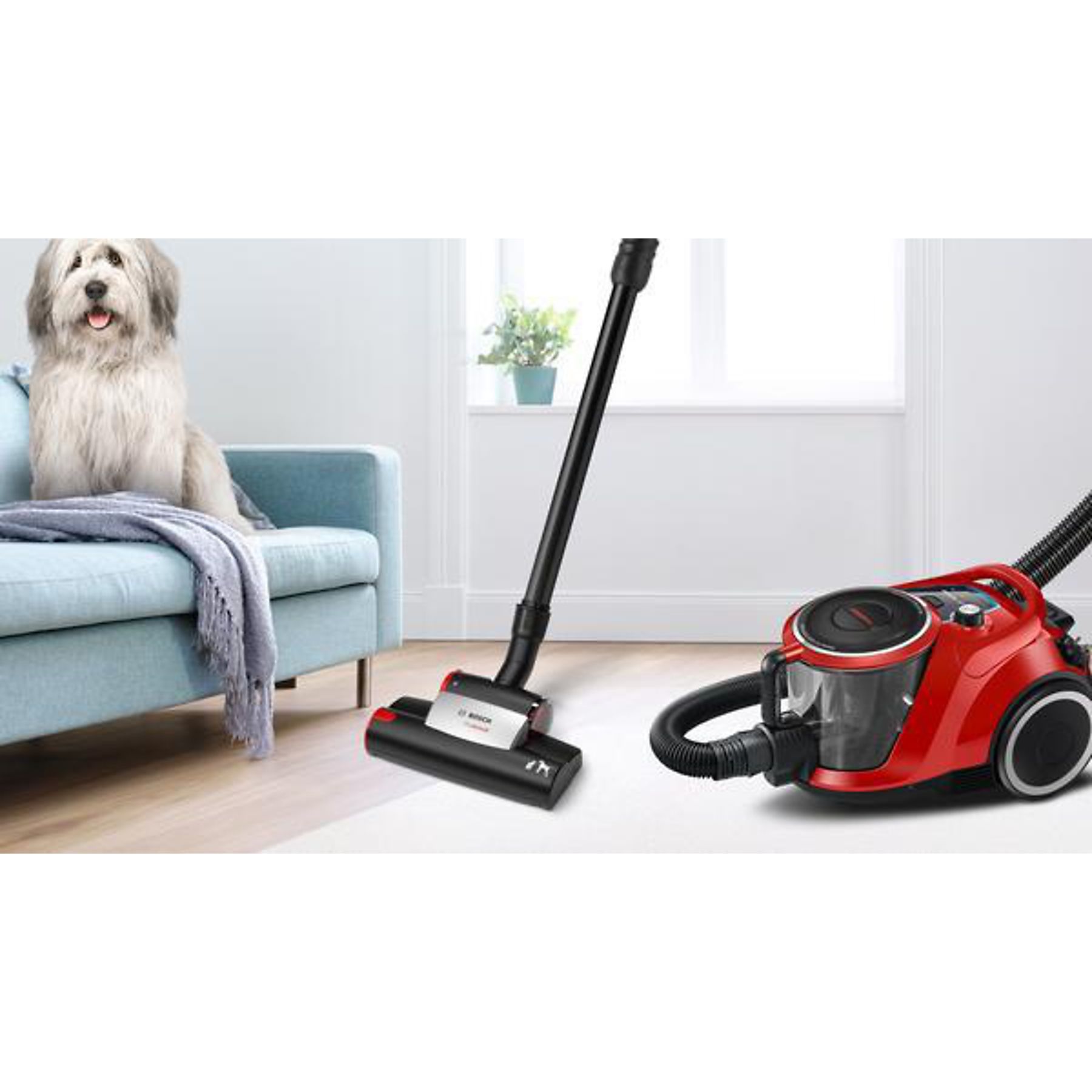 BOSCH BGC41Pet Staubsauger, maximale Leistung: 750 Watt