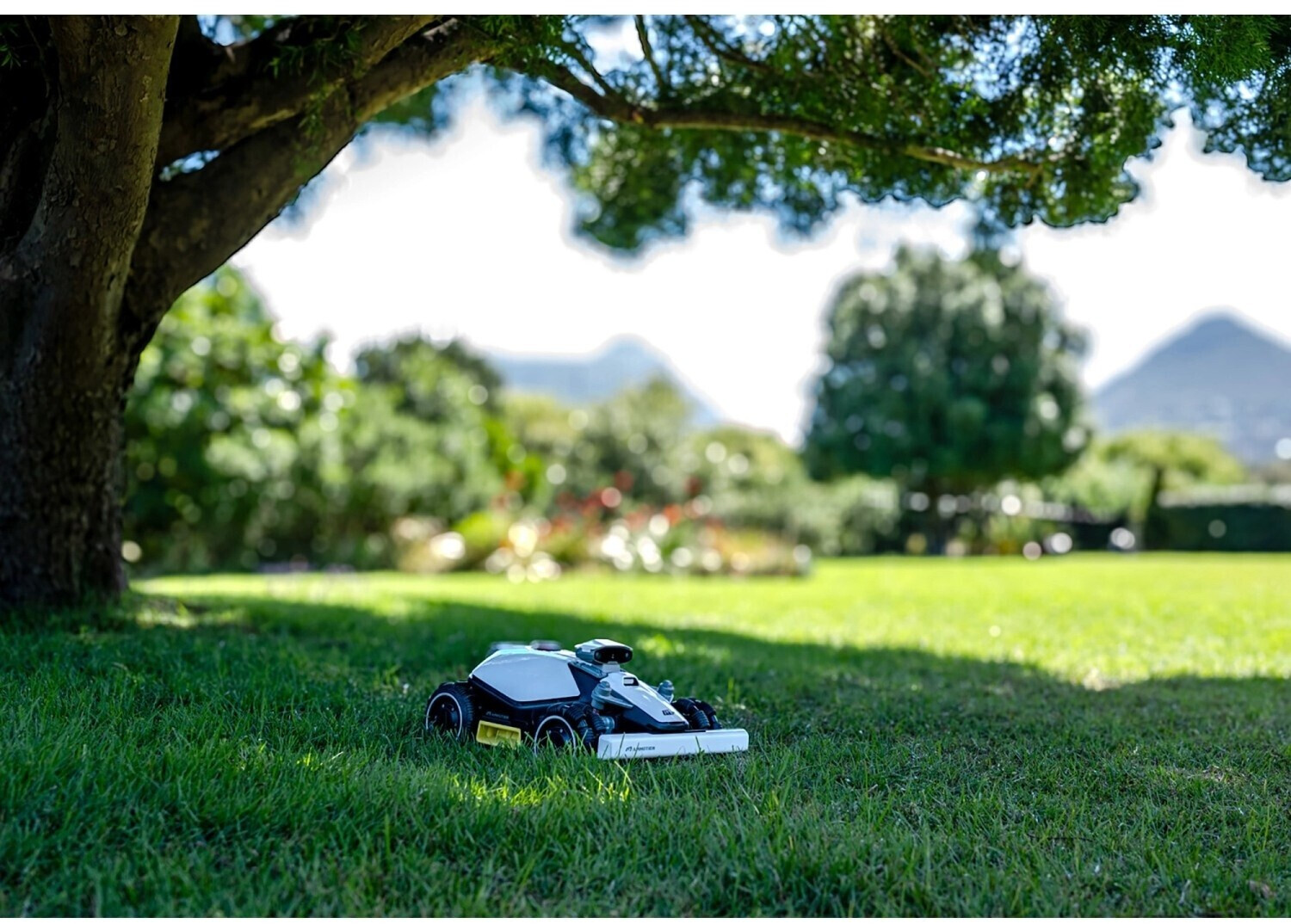 Mammotion LUBA mini AWD 800