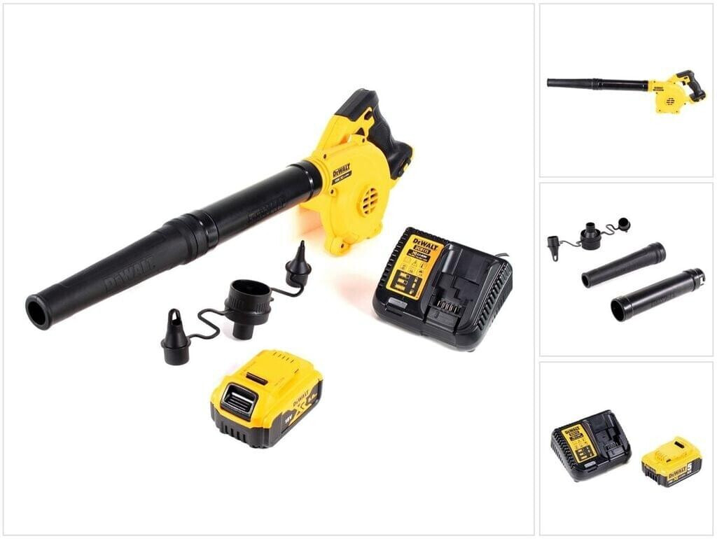 DeWalt DCV 100 P1 (1 x 5Ah Akku mit Ladegerät)