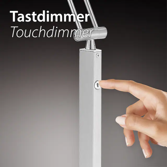 Paul Neuhaus Stehlampe »ARTUR«, 2 flammig, Leuchtmittel LED-Board-LED-Board | LED fest integriert-LED fest integriert, LED, CCT - tunable white, dimmbar über Tastdimmer, getrennt schaltbar