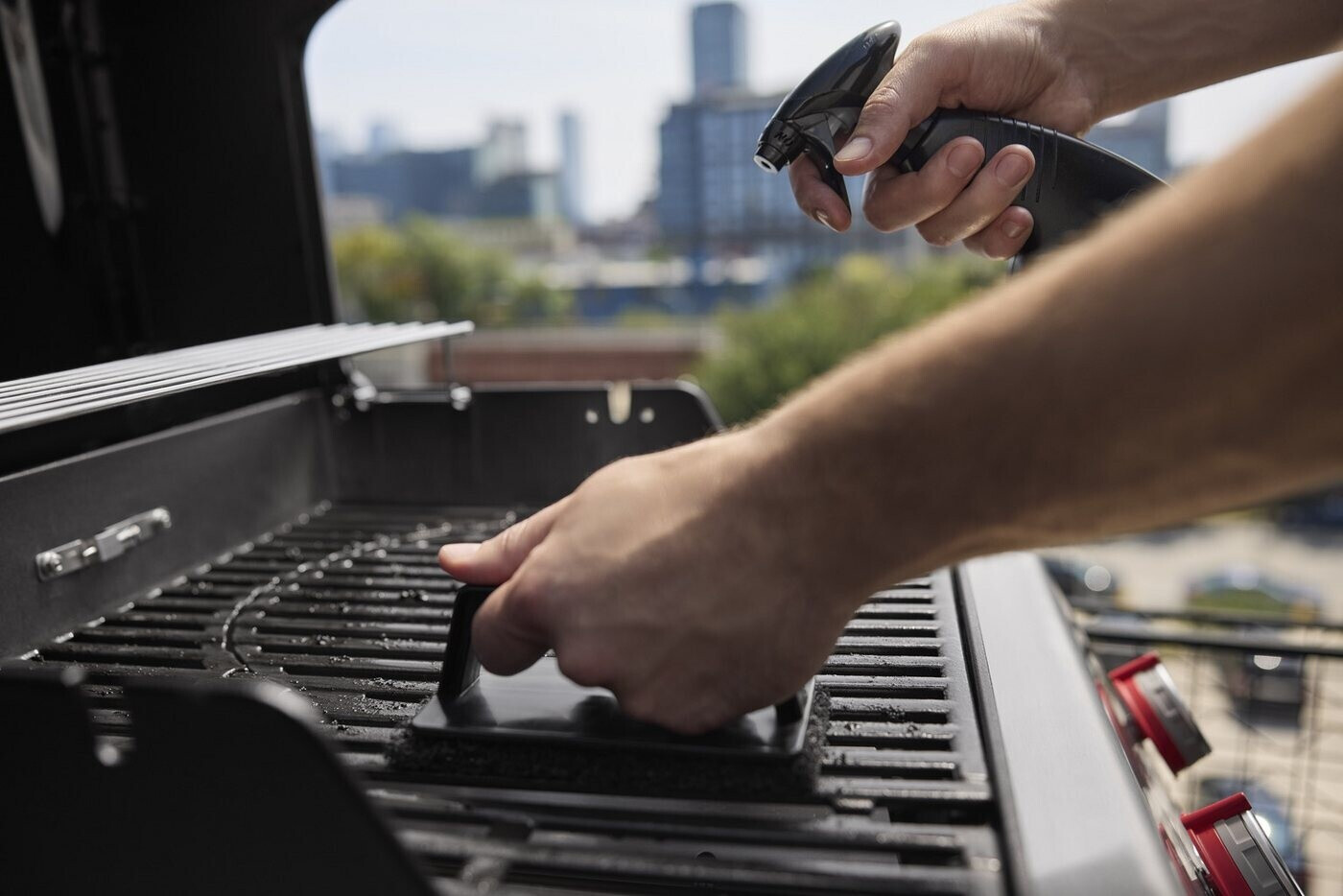 Weber Spirit E-210 (2025)