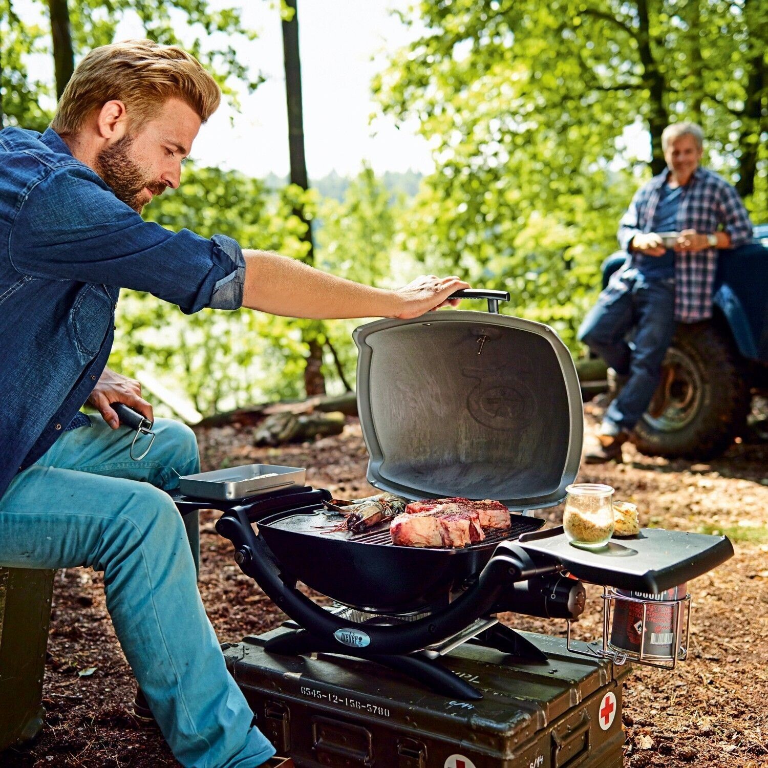 Weber Q 1200