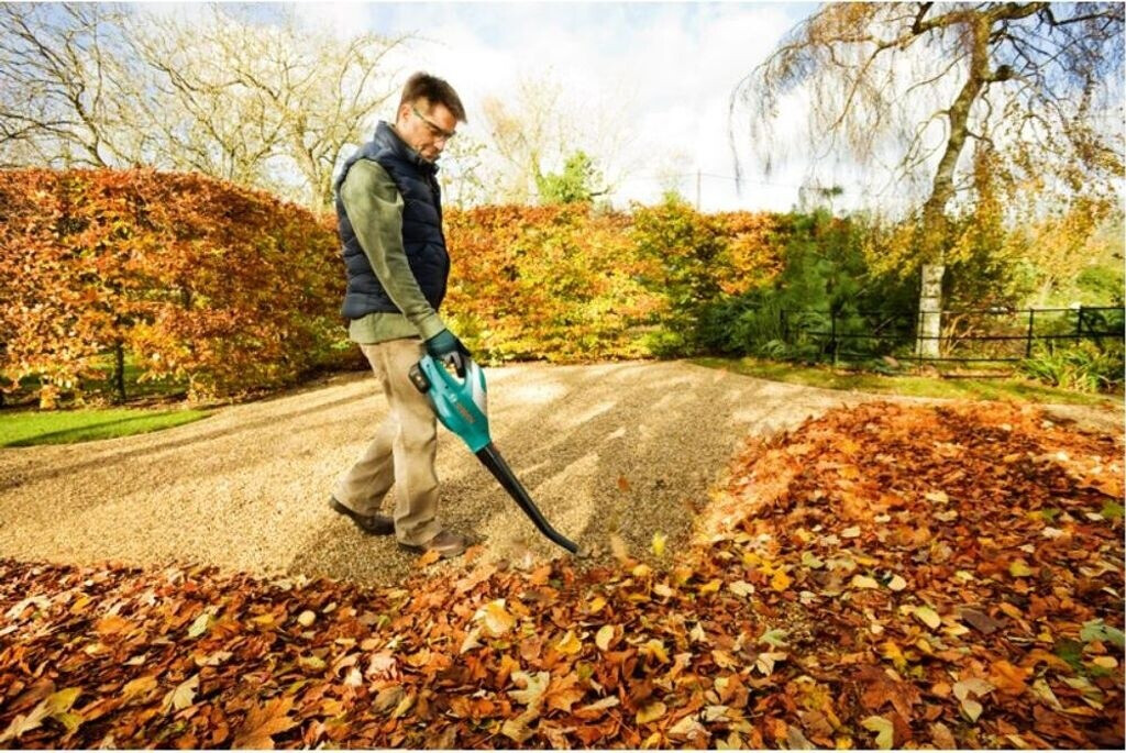Bosch ALB 18 Li mit Akku