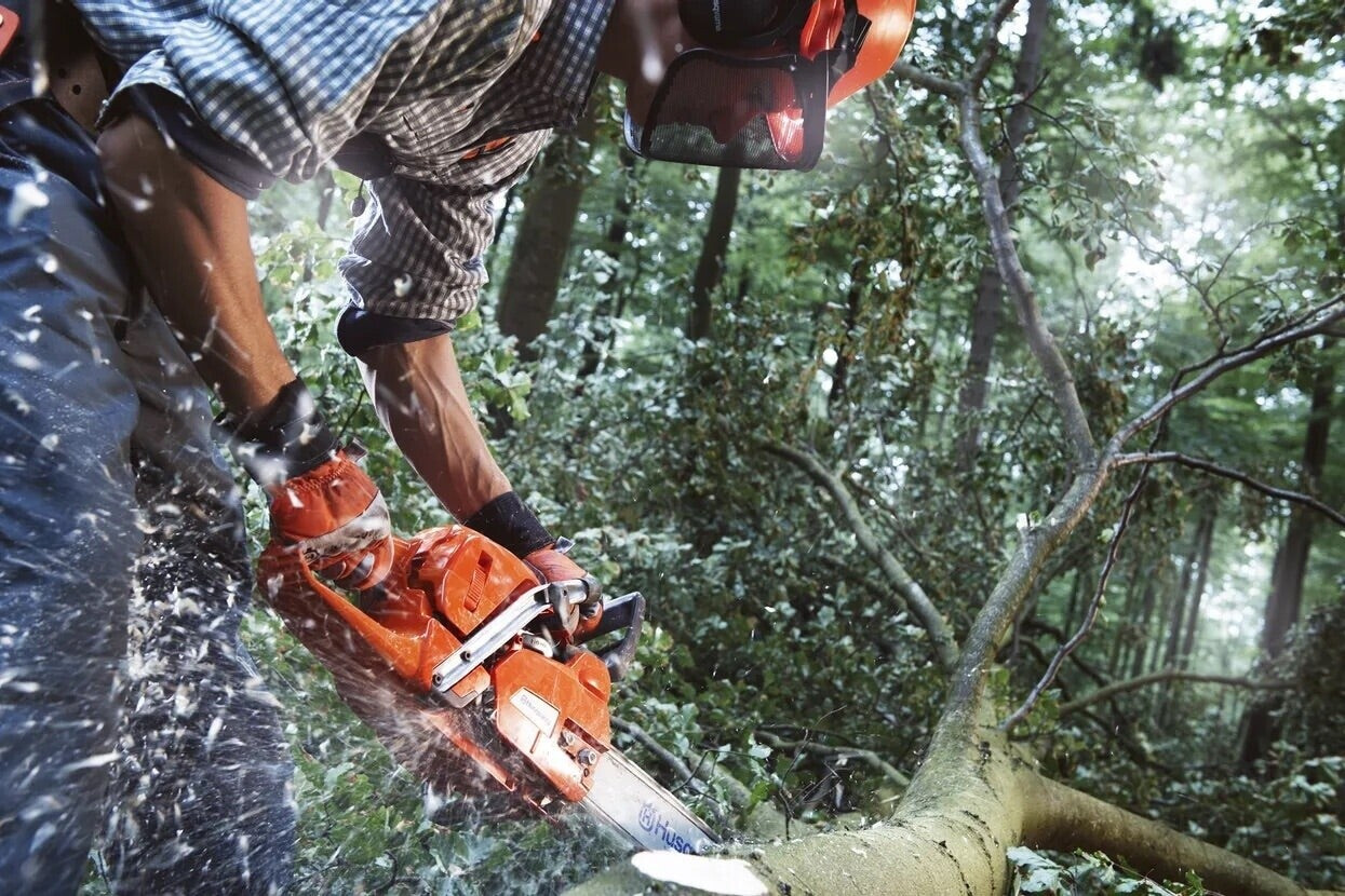Husqvarna 555 18 Zoll Benzin-Kettensäge