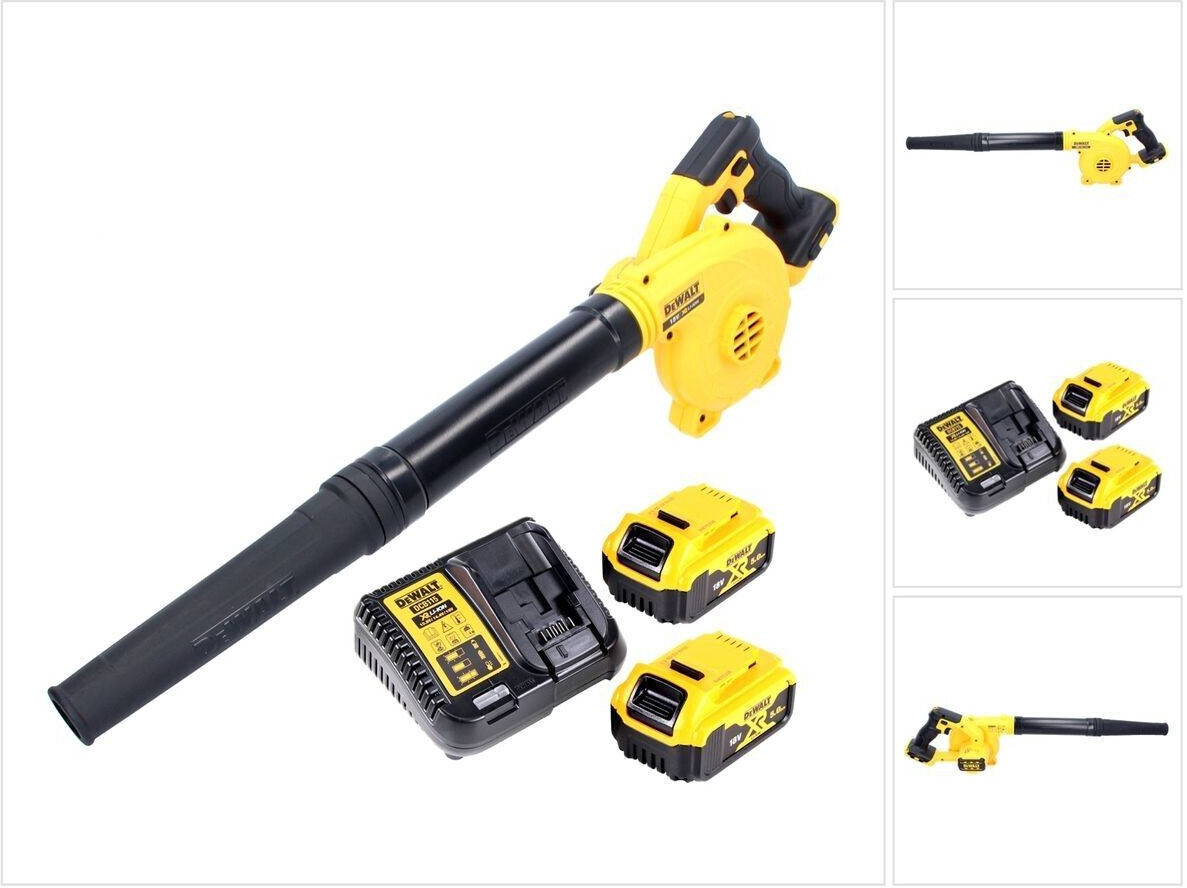 DeWalt DCV 100 P2 (2 x 5Ah Akkus mit Ladegerät)