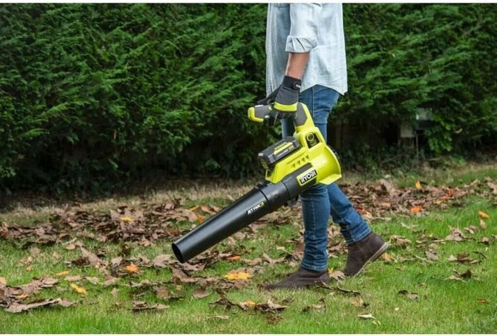 Ryobi OnePlus (RY36BLA-0)