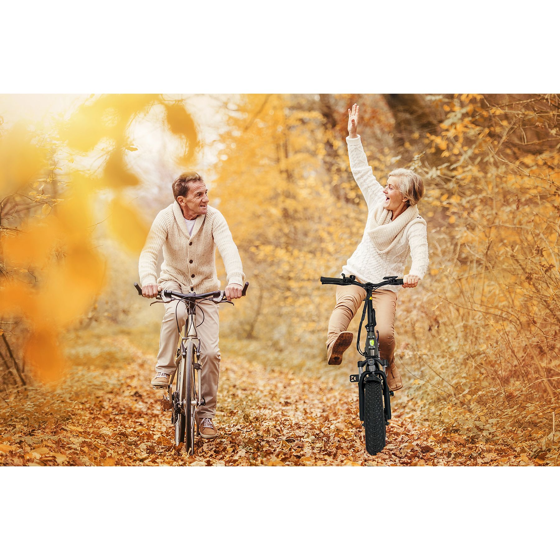 Sachsenrad E-Faltbike F6 Safari 20 "Fatbike Stvzo, 85nm Bafang Motor, interner Kabelelhrung E-Bike Grau
