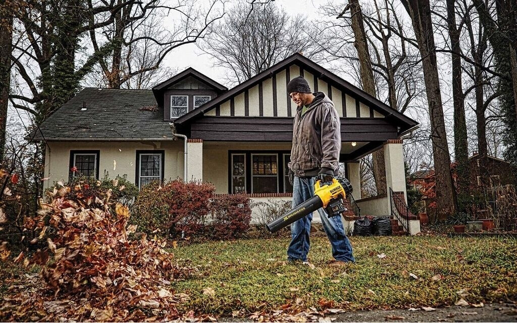 DeWalt DCM562P1
